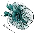 DRESHOW Fascinators Hat Flower Mesh Ribbons Feathers on a Headband and a Forked Clip Cocktail Tea Party Headwear for Girls and Women