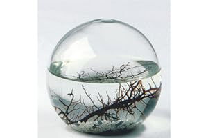 EcoSphere - Kleine Kugel Durchmesser 10 cm - das kleinste Ökosystem nach einer Technologie der NASA