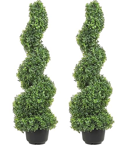 L'arbuste De Topiaire Troène De Buis A Taillé En Forme De Cône Photo
