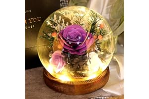 ‎FAYODO FAYODO Ewige Rose im Glas mit LED-Licht,3 Infinity Rosen Geschenke für Frauen, Haltbare Glasrose Geschenk für Mama,Ehefrau,Oma,Freundin,Tochter zu Muttertag Valentinstag Geburtstag Mom Women(Lila)