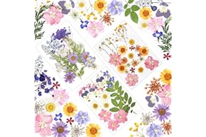 WEHOOM Gepresste Blüten, 66 Stück Trockenblumen Gepresst, Natürliche Getrocknete Blumen Gepresst, DIY Gepresste Blumen, Getrocknete Blumen Deko Geeignet für DIY Kerzen Harzschmuck Nagelkunst