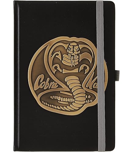 Pyramid International Impression Encadrée Cobra Kai (métal) 30 X 40 Cm