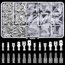 Groep Van Mannelijke En Vrouwelijke Platte Stripfiguren, Geïsoleerd Op Witte Achtergrond Vector