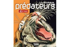 Les animaux prédateurs