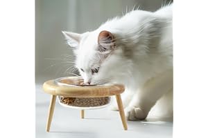 Navaris Gamelle Chat Accessoire - Gamelle pour Chien Surélevée avec Bol en Verre 600ml Support en Bois avec Hauteur Réglable - Gamelle Chien Surelevee pour Eau Croquette Pâté