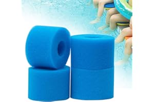 Hrozny Filtre Spa Type S1 pour Intex 29001 E Pure Spa,Éponge Filtrante Type S1,Filtre à Cartouche en éponge réutilisable et Lavable pour piscines,Jardin extérieur.(4)