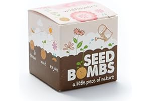 Die Stadtgärtner – Seedbomb „Wildblumen“ I 1 handgemachte Samenbombe mit 25 Arten Blumensamen I Enthält u.a. Kornblume, Ringelblume & Steinkraut I Mit ökologischem Saatgut & min. 2 Jahre haltbar