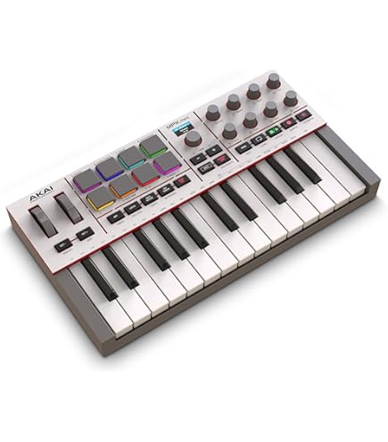 Roland A-800Pro Usb Midi Controller - Black : Amazon.co.uk