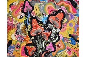 TISHIRON Abstract Paint by Numbers, Eye Paint by Number for Adults Kids Beginner, Paint by Numbers Kits with Paint Brushes and Acrylic Pigment, DIY Adult Paint by Number Crafts for Adults 16X20 Inch