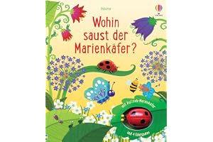Wohin saust der Marienkäfer?