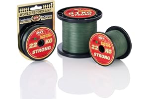 WFT Zielfisch Hecht 400m 0,30mm 8,1kg grün - Angelschnur zum Hechtangeln, Hechtschnur, Monofile Schnur für Hechte, Monoschnur