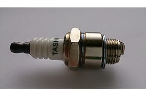 JARDIAFFAIRES Bujiàs para Briggs Stratton reemplaza NGK BR2LM Champion RJ19LM