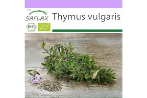 SAFLAX - Ecológico - Tomillo - 800 semillas - Thymus vulgaris