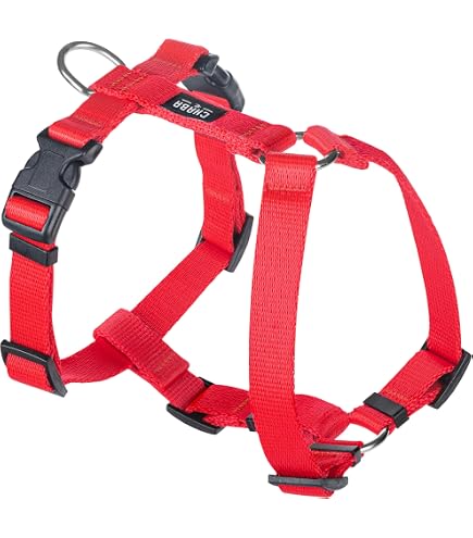 Meenzdog Hundeleine Handmade In Germany – 2m, 3-fach Verstellbar, Für Große Hunde Bis 80 Kg, Extrem Stabil & Waschbar