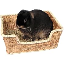 Giocattolo Attività Per Piccoli Animali Rosewood - Tunnel Di Corda, Lunghezza 110 Cm, Colori Assortiti