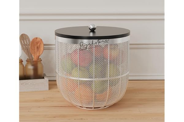 RIZIK STORE Modern Metal Fruit Basket/Bowl with Lid Perfect for Fruits, Vegetables, and Home D cor, Durable Design, 22x24cm (Silver (PACK OF 1))