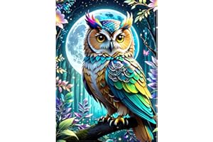 QINRUBB 5D Hibou Peinture Diamant Painting Kit, DIY Nuit de Lune Art du Diamant Complet Kits, Pays des Rêves Diamond Art Strass Point de Croix Painting pour Adultes Débutants Maison Décor 30X40cm