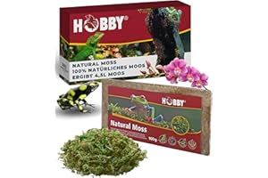 HOBBY Terraristik Natural Moss I 100g I tropisches Substrat für Terrarien und Orchideen I Moos für Terrarien I 100% natürlich und ohne chemische Zusätze I Moos zur Erhöhung der Luftfeuchtigkeit