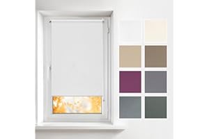 ESTIKA Estores enrollables de Interior sin taladrar - Blanco 70 x 150 cm - Persianas traslúcidas - se Pueden Montar sin taladrar, privacidad Temporal, protección Solar