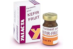 Yalacta Ferment pour Kéfir de Fruits