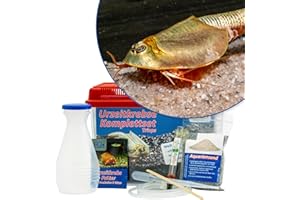 AQ4Aquaristik Triops longicaudatus Starterset: Urzeitkrebse Eier, 2,5 l Aquarium, Zubehör, Futter und Anleitung