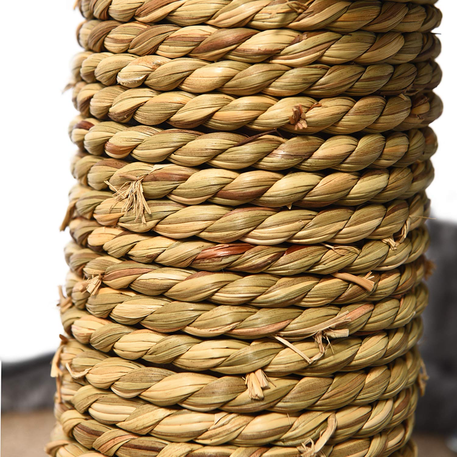 PAWZ-Road-Petit-Arbre--Chat-Chaton-avec-poteaux-et-griffoir-en-sisal-Centre-dActivit-pour-Chat-Gris-31-31-51cm