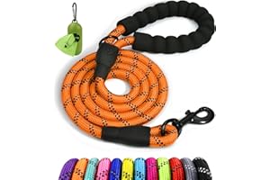Taglory Laisse Chien Corde, Laisse pour Chien en Nylon avec Poignée Rembourrée Douce et des Fils réfléchissants pour Grande Taille, 180cm x 1.2cm, Orange
