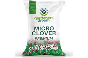 GARDENERSDREAM 250g Premium Crimson Clover Grass Seed for Eco-Friendly Lawns - Drought Resistant, Nitrogen Fixing Garden Ground Cover - for Low Maintenance, Bee Friendly Gardens and Organic Farming (Covers 25m²)
