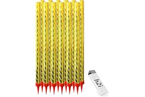 ‎H2I 12 Stück je 25 cm Länge h2i "XXS" Pack Eissterne Eisfontäne Sprühkerze für Verlobung-Hochzeit-Geburtstag Jugend-Party-Tisch-Feuerwerk Deko für Kuchen Torten Flaschen + unser h2i & eissterne Feuerzeug