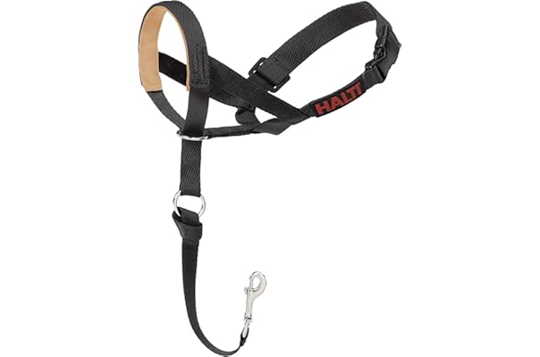 best head collar