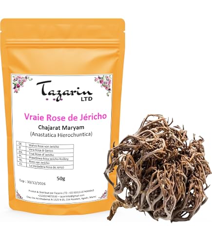 Rose De Jericho X2 - Plante De La Résurrection - Selaginella Lepidophylla - Satisfait Ou Remboursé