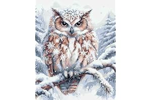 HKLIOPU Paint by Numbers for Adults,DIY Canvas Oil Painting Kit owl for Kids or Beginner with Paint Brushes Acrylic Pigment for Gifts Home Wall Decor 16x20inch