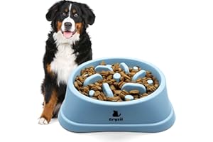 GRYZII Gamelle Anti Glouton pour Chien de Grande Taille | Bol d'alimentation Lente et Saine, Favorise la Digestion de l'animal, Anti Vomissements, Pieds Antidérapants, Grand et Gros Chien XXL (Grand, Bleu)