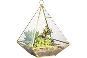 NCYP Terrarium géométrique Doré en Verre pour Plantes, 15x15x20cm, Pot de Fleurs à Suspendre au Mur en Forme de Pyramide, décoration de Table de Jardin (Terrarium Uniquement)