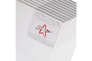 DESIGN DELIGHTS Art-Star - 10 pareti in lino su telaio a cuneo, 50 x 70 cm, pronta da dipingere, 100% cotone, ideale per principianti