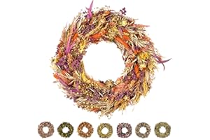 PHILARO Trockenblumenkranz All Seasons Ø 40cm bunt - kein Plastik I Trockenblumen Premium Qualität aus Europa - Türkranz - Tischkranz - Wandkranz - Trockenblumenkranz