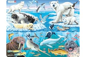 Larsen FH11 La fauna selvatica su e intorno a un iceberg artico, Puzzle Incorniciato con 75 pezzi