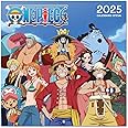 Grupo Erik Wall Calendar 2025 - One Piece | 12" x 12" Square Calendar 2025, Wall Planner 2025, Family Planner Calendar 2025 | One Piece Calendar 2025, One Piece Manga, One Piece Merch