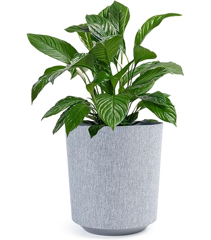 KONZEPT Vaso per Piante Grande 24cm Bianco, Fioriera con Piedini, Resistente alle Intemperie e ai Raggi UV, con Sistema di Scarico dell'Acqua, Vaso Decorativo per Interni ed Esterni