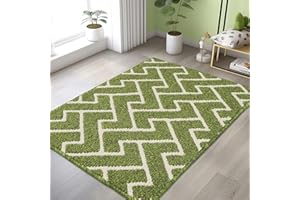 Biscpro Runner Rug Non-Slip 80x120cm Mats for Hallway Dirt Trapper Rug Durable Rubber Backing Carpet Low-Profile Absorbent Entrance Long Door Mat Runner Rug for Entryway Laundry,Patio Room-Sage Green
