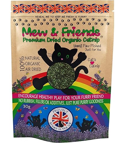 Dreamies Snack Per Gatti Al Sapore Di Erba Gatta - Croccanti Fuori E Morbidi Dentro, Confezione Da 6x60g - Foto 6