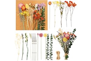 UMILKI 30 Stück Natürliche Getrocknete Blumen,11 Sorten Echte Trockenblumenstrauß Trockenblumen Deko für Vase,Kunst Basteln Handwerk,Tischdekoration DIY Dry Flower Bouquet Set