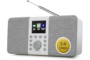 MangoKit MD5 Dab Stéréo Portable,Radio Numérique Dab+,Bluetooth,FM de Cuisine,Alimentation Secteur et Batterie,écran Couleur,Alarme,Horloge Minuterie,40 Stations Préréglées,Port pour Casque-Gris