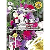 Duftwicke Royal Prachtmischung, duftende farbenreiche Kletterpflanze, bienenfreundlich, Samen