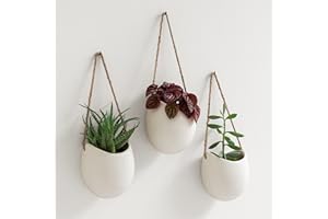 Kazai. Pots de Fleurs Muraux -Ellie- | Pots de Fleurs Suspendus en Céramique 3 pièces | Décoration Murale pour Intérieur, Balcon et Jardin | Crème (Mat)