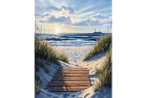 DAERLE Pintar por Numeros Adultos, Sendero de madera, DIY Painting by Numbers Kits, Playa Paisaje, Cuadros para Pintar por Numeros Pinturas Acrilicos, decoración para el hogar 40x50cm Sin Marco