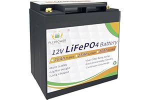 TCBWORTH Batteria al litio 12V 30AH Lifepo4 con celle di grado A BMS perfetto per motore da traina Pannello solare RV Camping Golf Cart Elettrodomestici