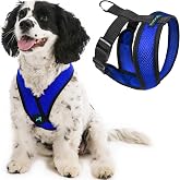 Gooby - Comfort X Kafa Takımı, boğulmaz, k&uuml;&ccedil;&uuml;k k&ouml;pek tasması, mikro s&uuml;et s&uuml;slemeli ve patentli X &ccedil;er&ccedil;eveli, mavi, beden M