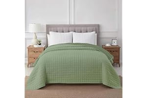 ILGRUPPONE Il Gruppone Passione Casa Trapuntino Coperta Primaverile Bicolore Trapunta Anallergica Piumino Mezza Stagione Antiacaro Colorato Tinta Unita Microfibra Manopesca Duck Friendly(Matrimoniale)