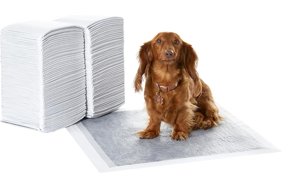 Amazon Basics Almohadillas de adiestramiento de perros y cachorros, carbón para control de olor, a prueba de fugas con superf